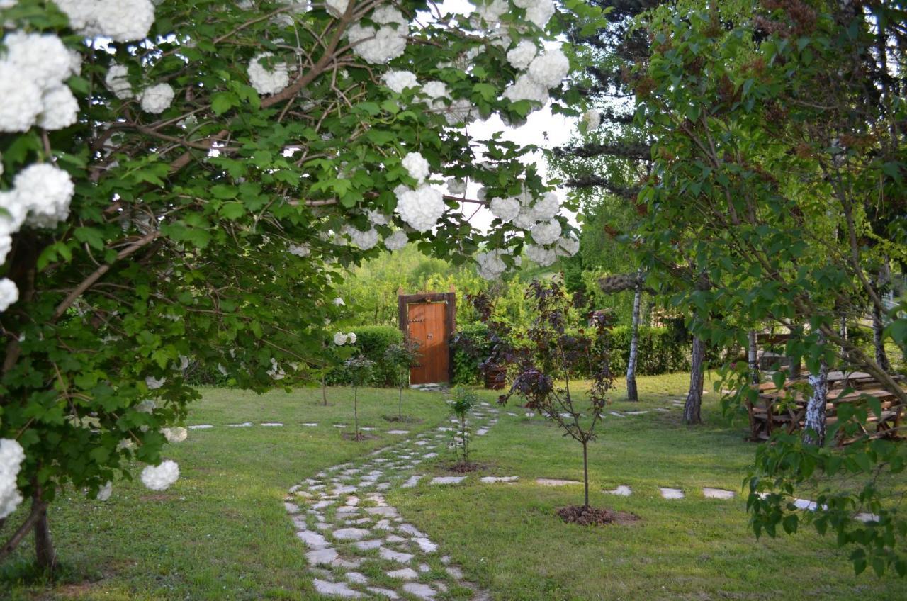 Vila Davidovic-Fruska Gora Mandelos Екстериор снимка