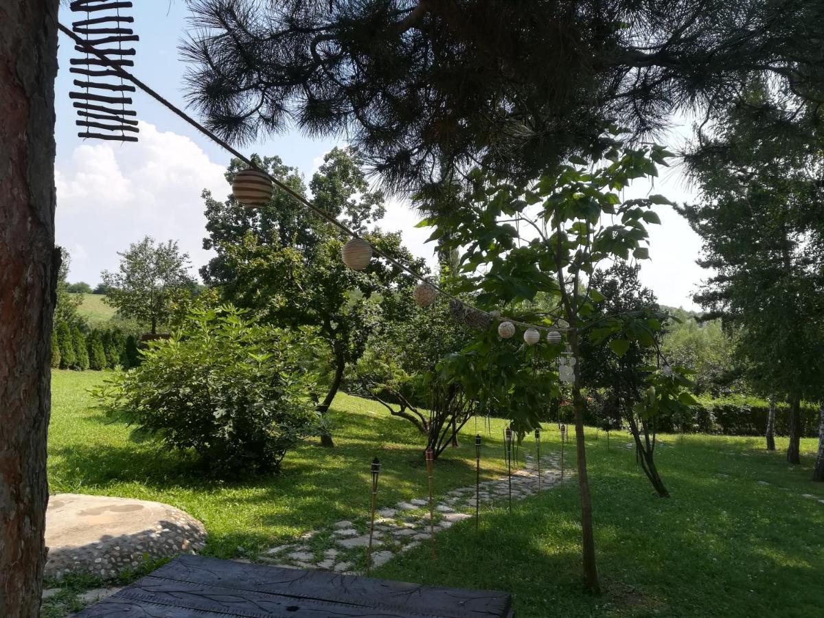 Vila Davidovic-Fruska Gora Mandelos Екстериор снимка