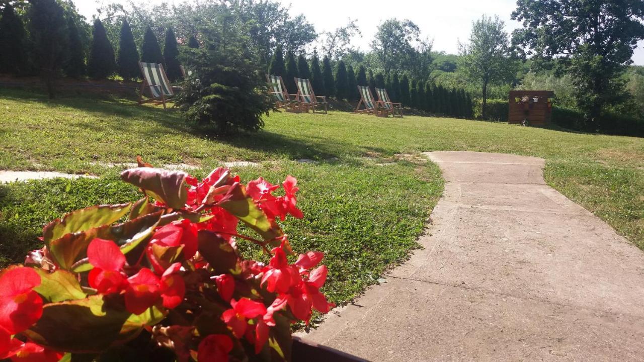 Vila Davidovic-Fruska Gora Mandelos Екстериор снимка