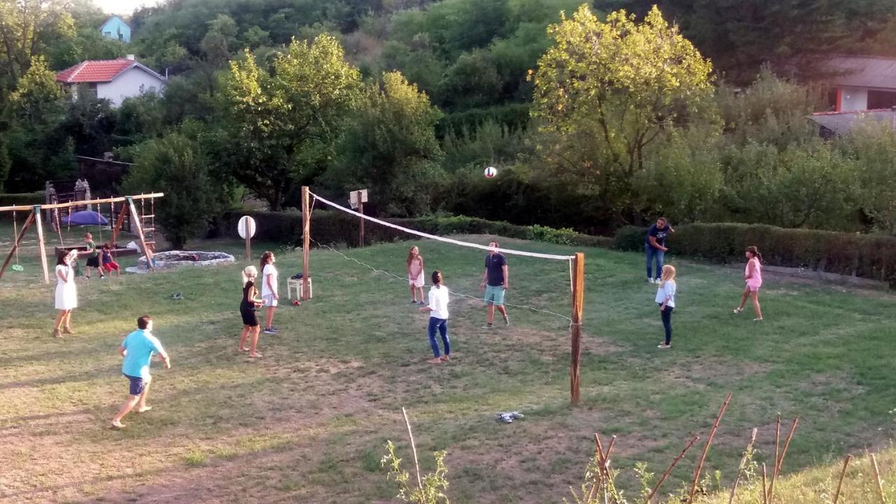 Vila Davidovic-Fruska Gora Mandelos Екстериор снимка