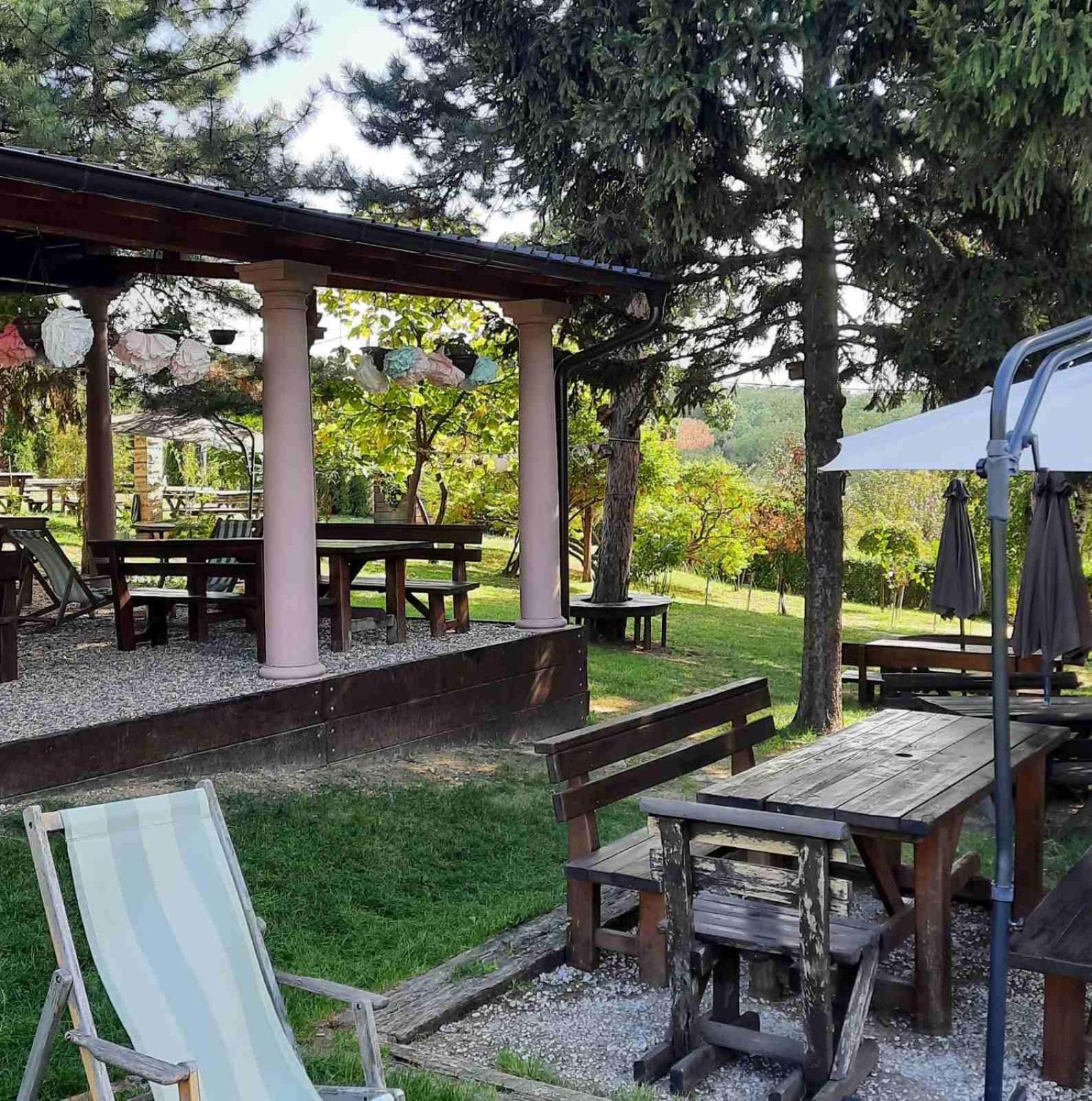 Vila Davidovic-Fruska Gora Mandelos Екстериор снимка