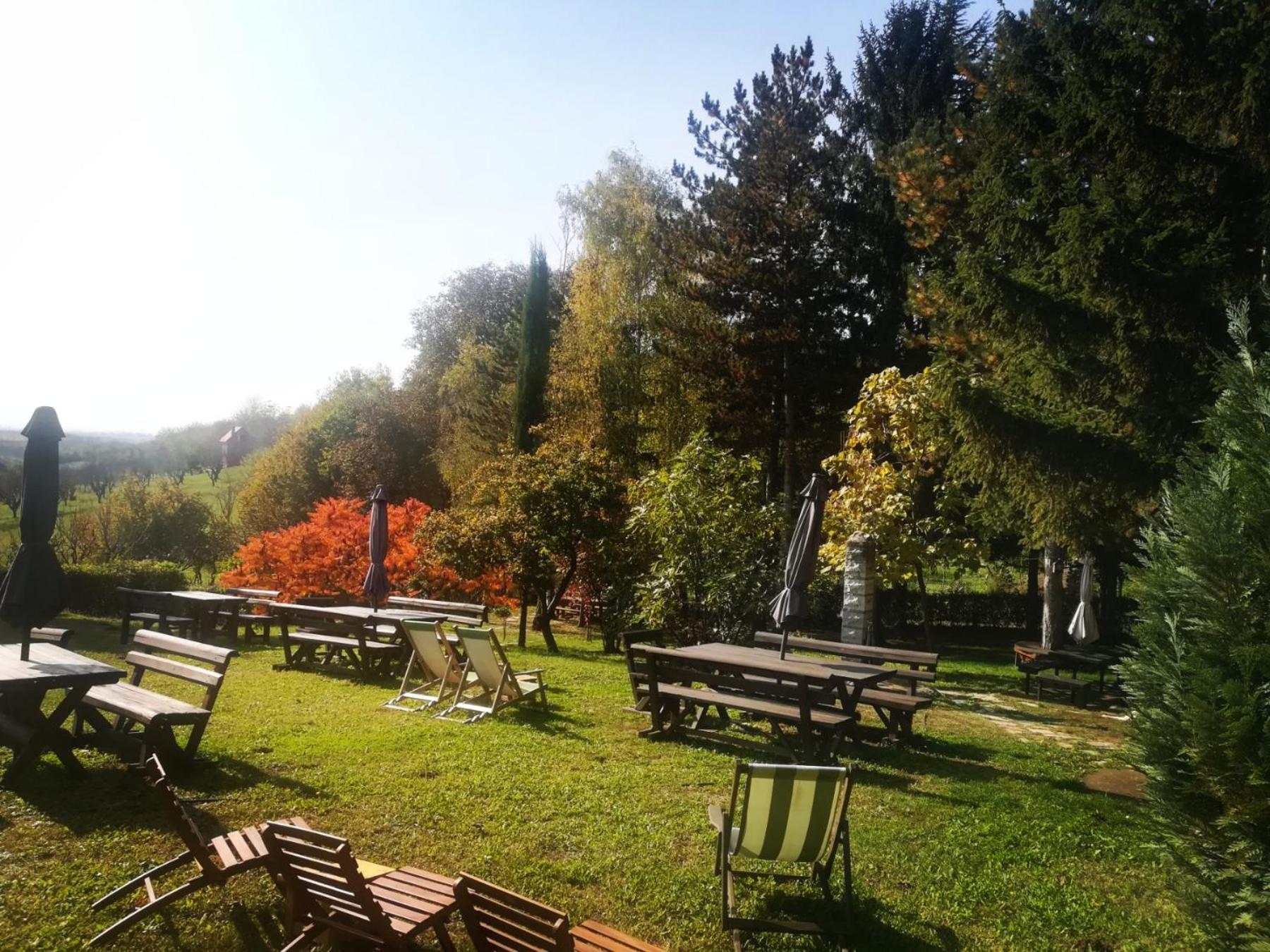 Vila Davidovic-Fruska Gora Mandelos Екстериор снимка