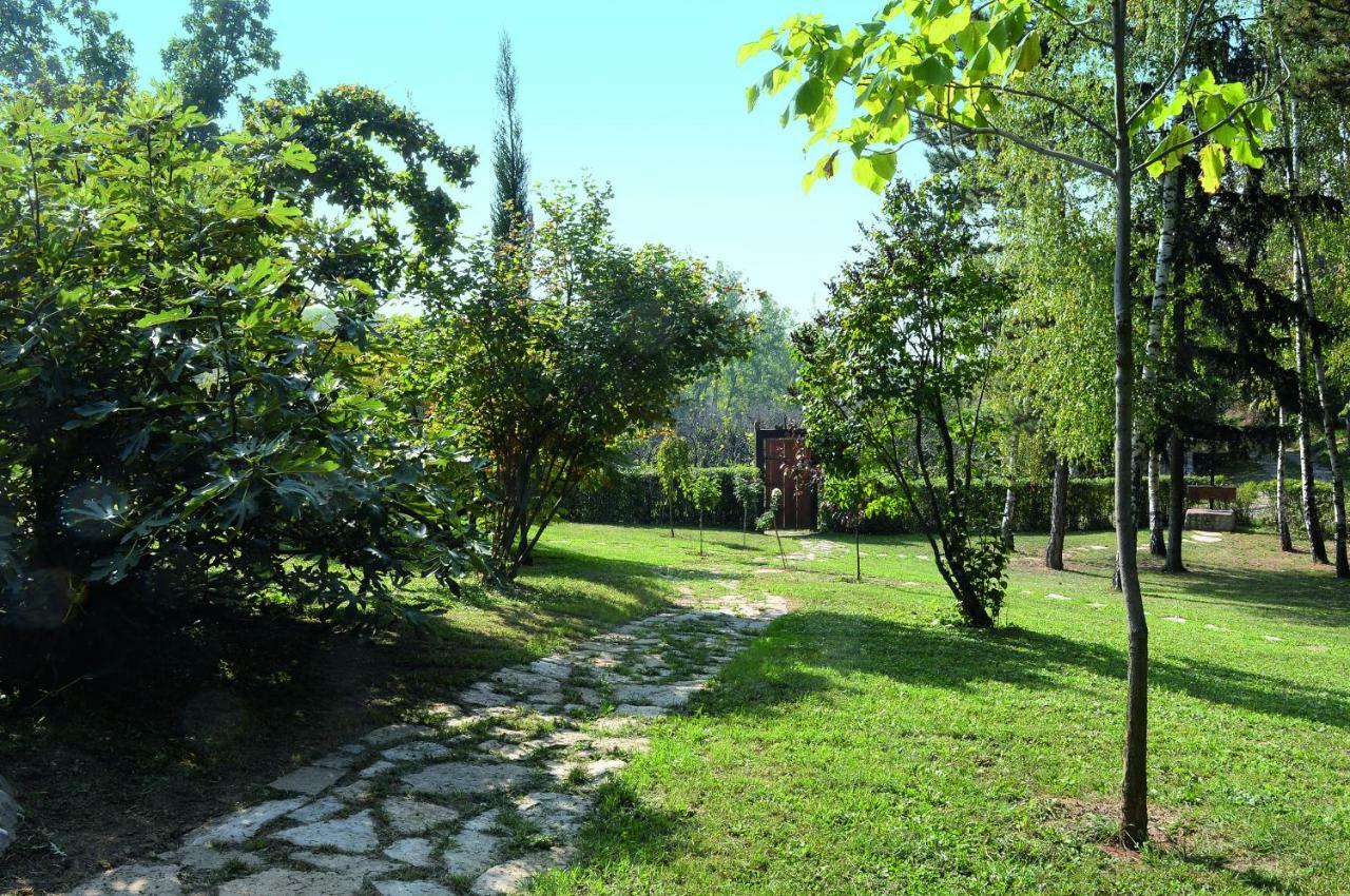 Vila Davidovic-Fruska Gora Mandelos Екстериор снимка