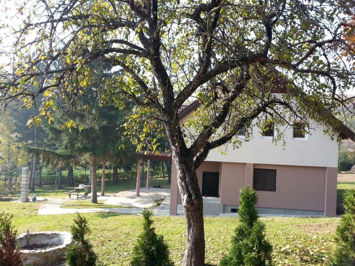 Vila Davidovic-Fruska Gora Mandelos Екстериор снимка