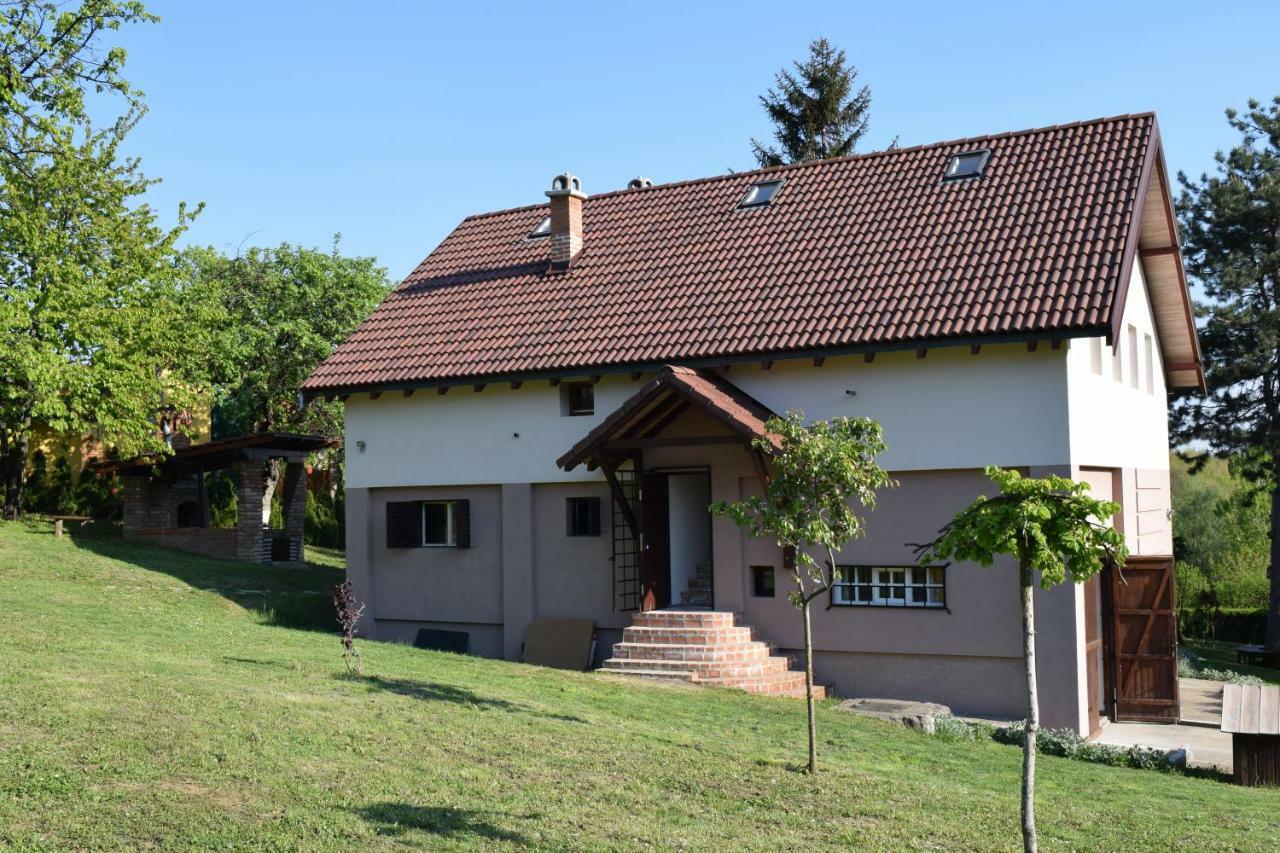 Vila Davidovic-Fruska Gora Mandelos Екстериор снимка
